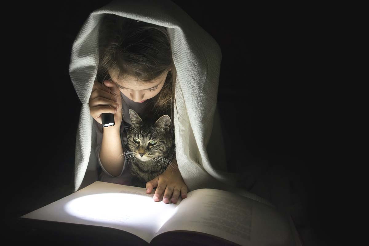 Lesen mit Katze